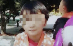 宁夏6岁女童被12岁同伴击打致死 家属称获赔47万