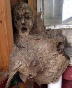 男子在小屋发现诡异人脸 一看立即报警