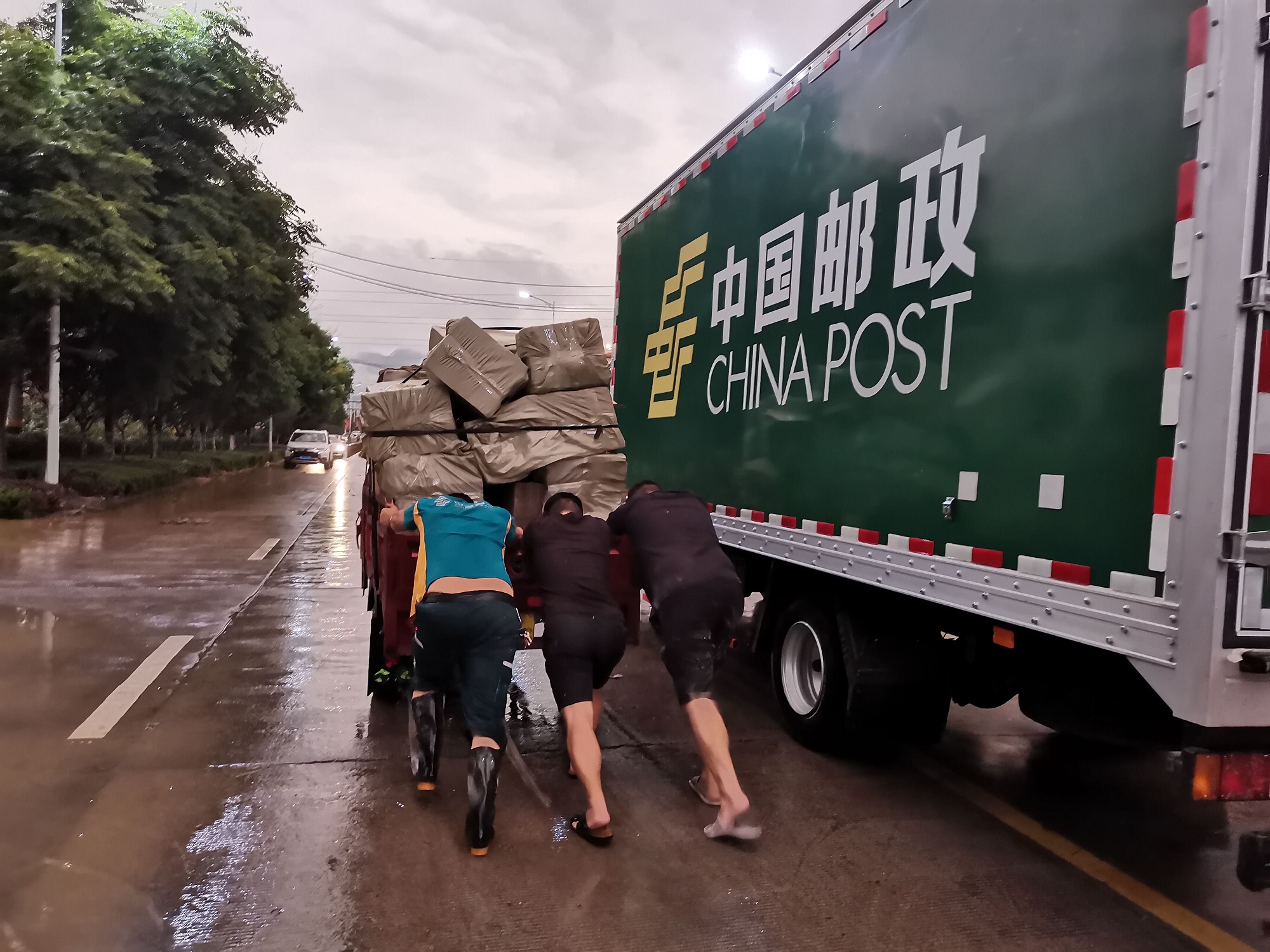 <b>邮政平邮查询</b>