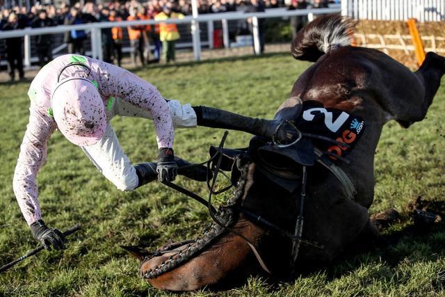 <b>女子马场骑马摔断11颗牙</b>