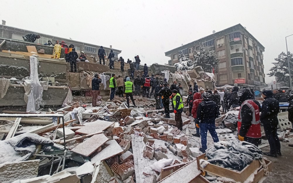 <b>土耳其地震发生前鸟类出现异常行为</b>