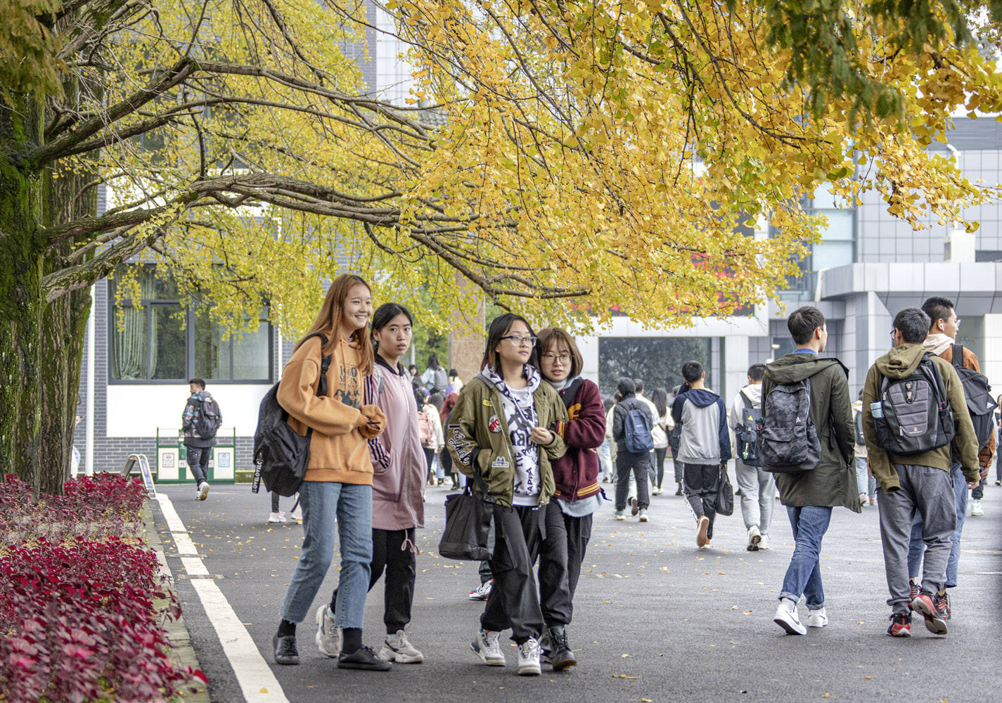 四川一高校放假7天鼓励恋爱