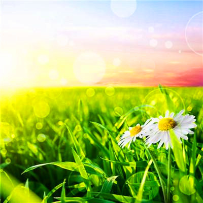 2023年微信吉祥头像图片