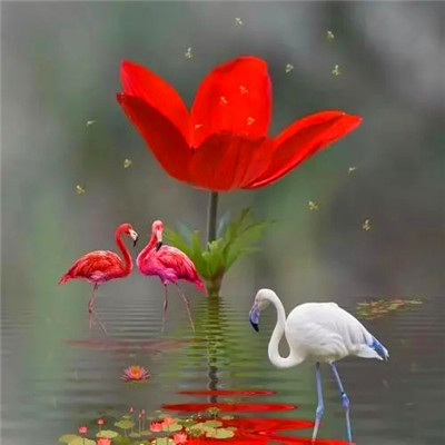 2023年微信吉祥头像图片