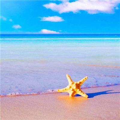 2023年微信吉祥头像图片