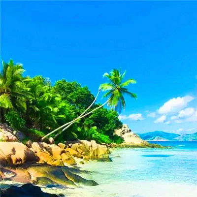 2023年微信吉祥头像图片