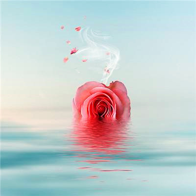 2023年微信吉祥头像图片