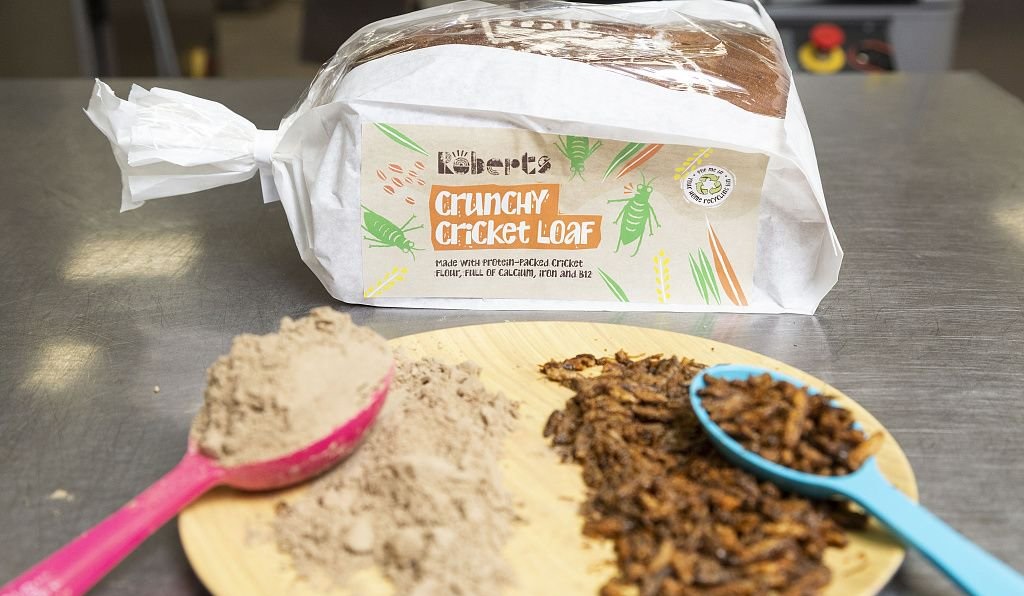 意大利做出蟋蟀面粉