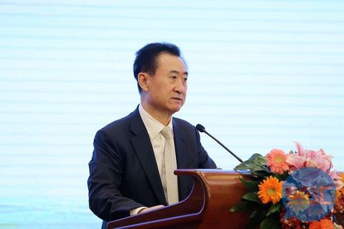 王健林动荡30天