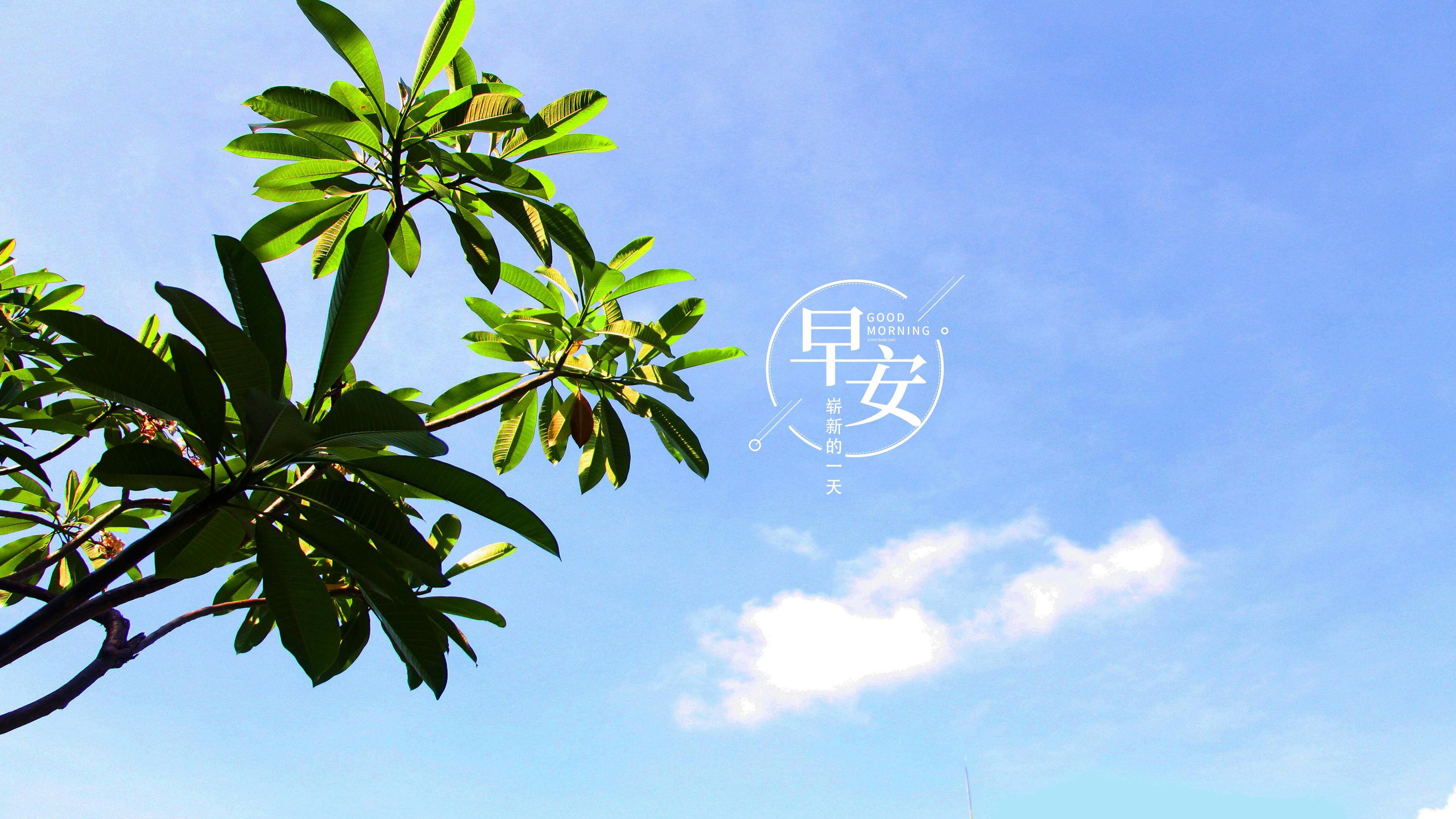 2023今天刚出最新早上好图片