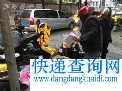 情人节，其实物流人才是你心心念念的人儿