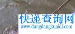 点赞！快递小哥跳入“冰河”救起轻生老人