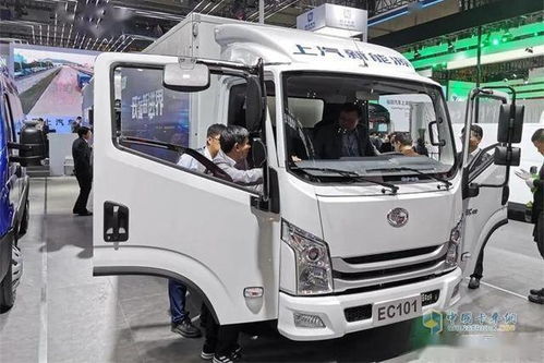 蝴蝶花歌词 蝴蝶花歌词暗示什么