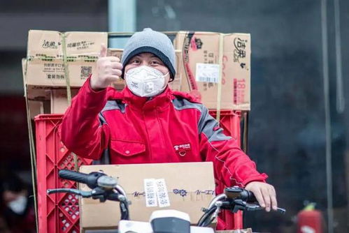 广东东二龙邦快递