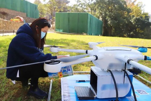 关于物流与物流员