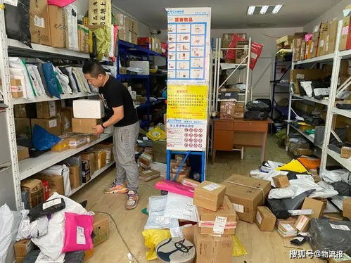 物流技能包含哪些内容