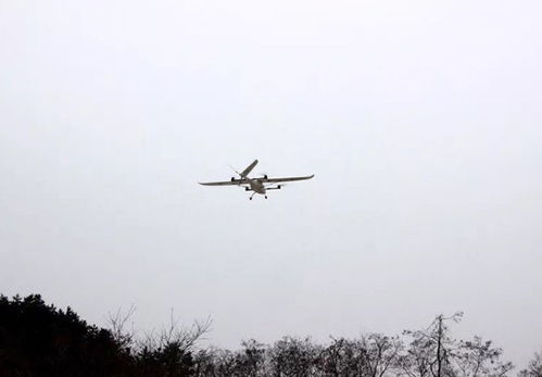 顺丰市值突破3000亿元