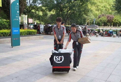 北京至上海物流公司