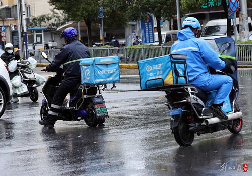 余下全文打不开的文档怎么看 余下全文打不开的文档怎么看