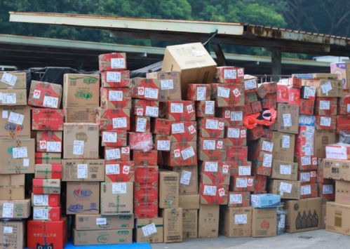 中远物流的主要业务 中远物流的主要业务