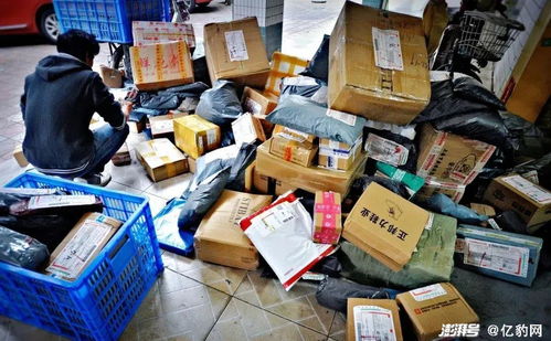 青岛现代物流两翼齐飞