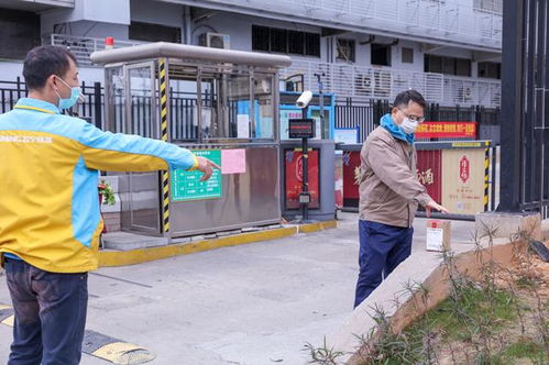 顺丰如何通过手机号查询单号