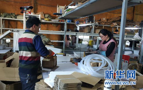 浙江加强与新加坡企业合作