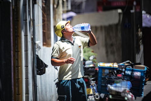 武汉德邦物流操作员 理货员 接送货员都是别离做什么的