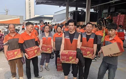 快递搬运工作业流程