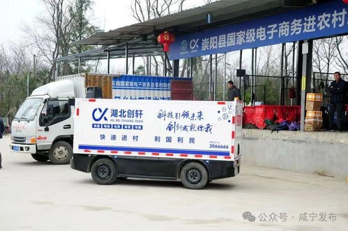 田曦薇是哪家公司艺人