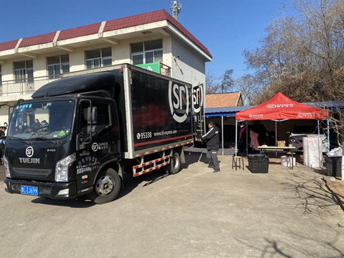 自贸区不是开发区