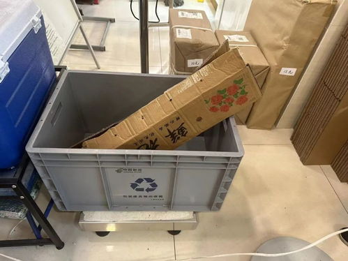 海关总署 海关整体通关时效大幅提升