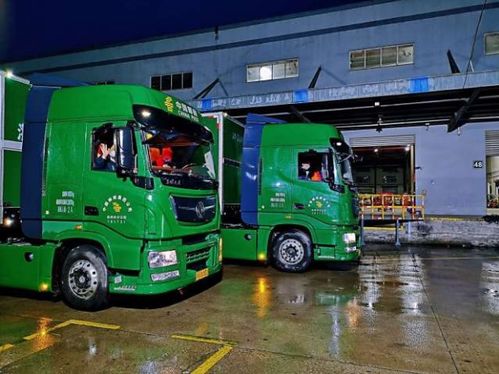 12305快递投诉有用吗