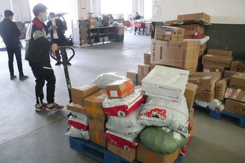 从半年报看顺丰与三通一达的区别