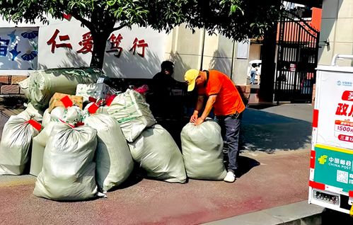 交通运输部要求大力促进国际海运业平稳有序发