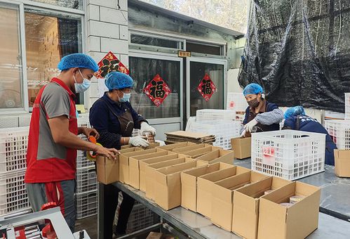 京东物流为原地过年员工补贴1亿 鼓励做原年人