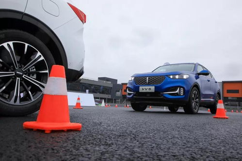 快递怎么查谁下的单