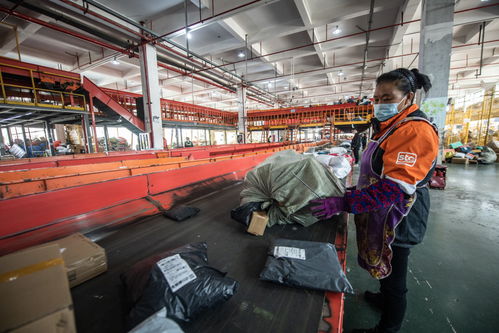 <b>圆通快递旧的E开头运单号跟踪查询</b>