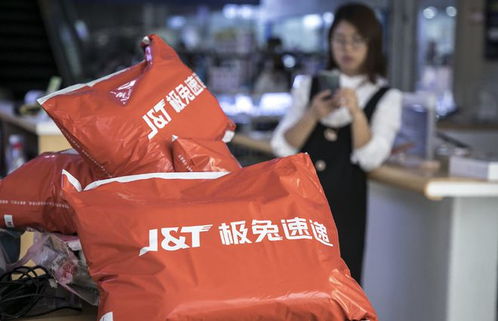 边城开行中欧班列700列 成为国际物流集散地