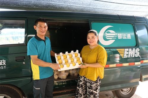 上海杨浦南部汇强快递