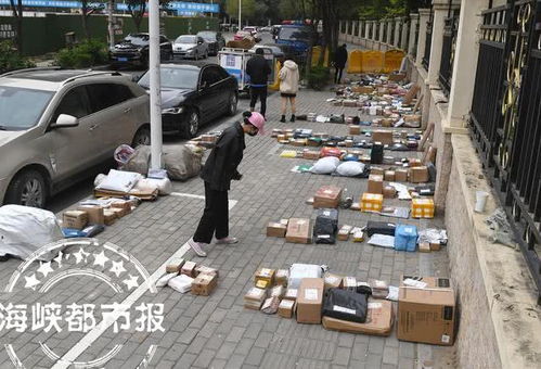 物流有单号怎么查询