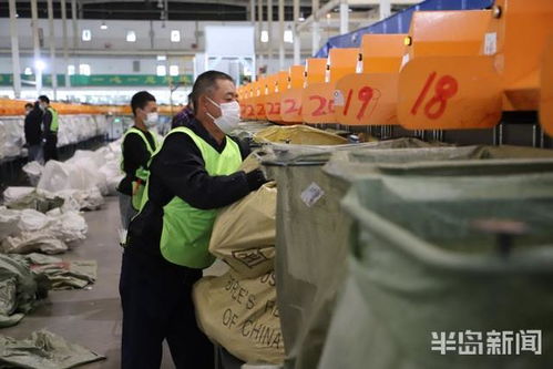 深国际综合物流港的运营优势与挑战是什么