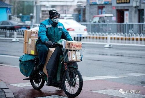 张家口霜冻来袭 农户损失惨重