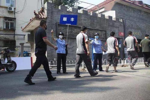 2025年上半年邮政快递业务量预计超500亿件