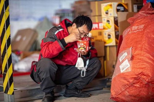 如何注册一家物流公司