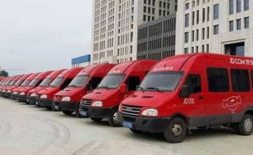 布偶猫价位 布偶猫咪价格多少