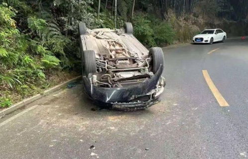 快递公司客服工作内容