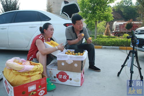 广西桂网物流 广西桂网物流