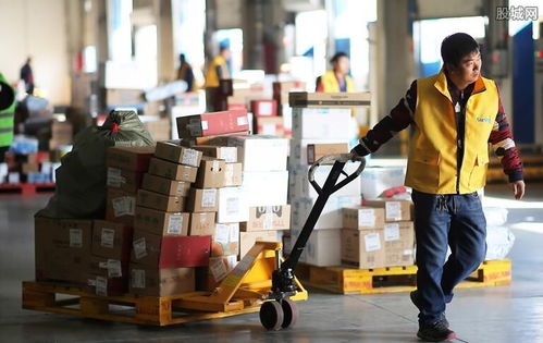 韵达快递单号查不到物流 韵达快递单号查不到物流