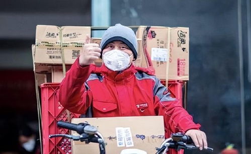 宅急送快递如何快速便捷地查询物流信息